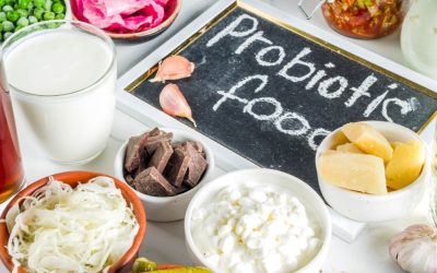Probiotique pour la perte de poids : qu’en pensent les professionnels ?